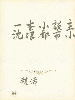 一本小说主角叫沈浪都市小说