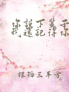 你说下辈子如果我还记得你是哪首歌