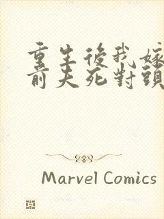 重生后我嫁给了前夫死对头/