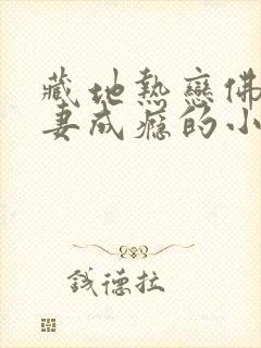 藏地热恋佛子宠妻成瘾的小说