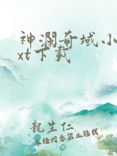 神澜奇域小说txt下载