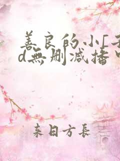 善良的小[子hd无删减播中文