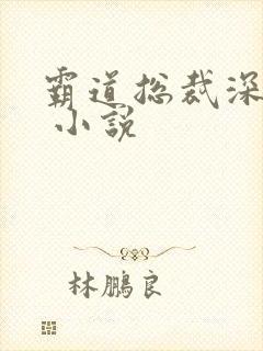 霸道总裁深深爱 小说