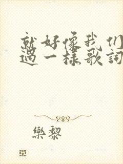 就好像我们没爱过一样歌词