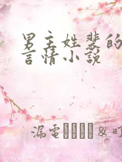 男主姓裴的现代言情小说