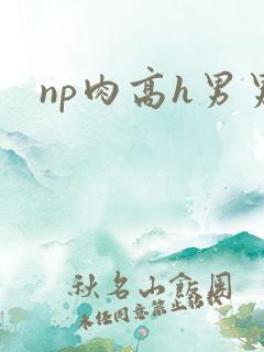 np肉高h男男