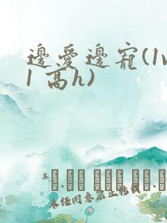 边爱边宠(1v1 高h)