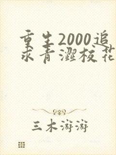 重生2000追求青涩校花同桌开始在线全文阅读