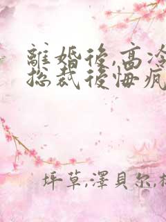 离婚后,高冷女总裁后悔疯了