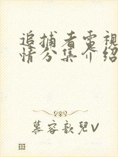 追捕者电视剧剧情分集介绍