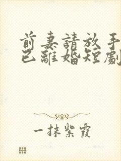 前妻请放手我们已离婚短剧许磊