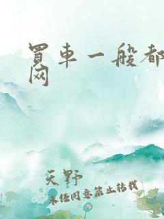 买车一般都什么网