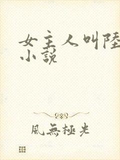 女主人叫陆瑶的小说