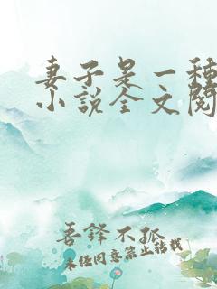 妻子是一种感觉小说全文阅读