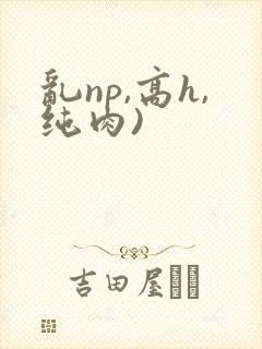 乱np,高h,纯肉)