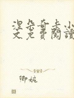 涅朵奇卡小说全文免费阅读