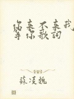 你来不来我都在等你歌词