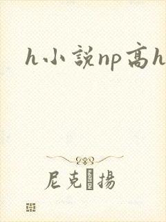 h小说np高h