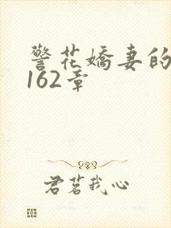 警花娇妻的蜕变162章