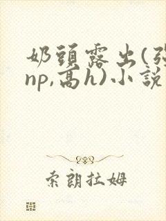 奶头露出(强jnp,高h)小说