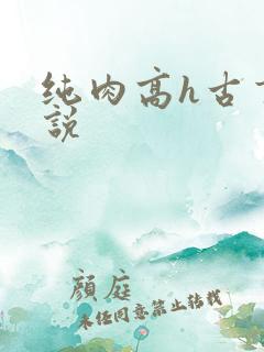 纯肉高h古言小说