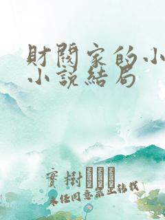 财阀家的小儿子小说结局