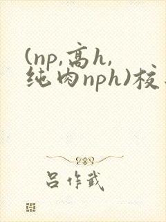 (np,高h,纯肉nph)校园
