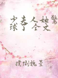 少夫人她惊艳全球了 全文