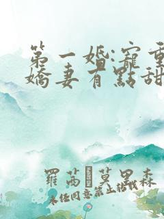 第一婚:宠重生娇妻有点甜