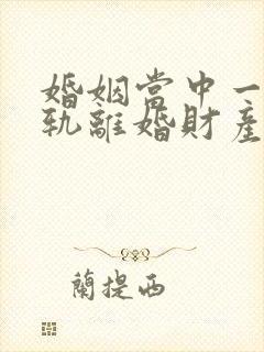 婚姻当中一方出轨离婚财产如何分配