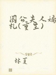 国公夫人娇宠手札(重生)