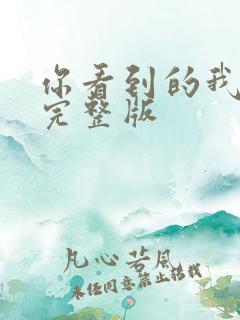 你看到的我歌词完整版