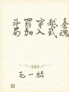 斗罗穿越秦明开局加入武魂殿