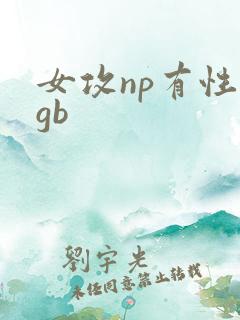 女攻np有性器gb