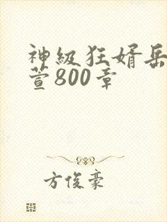 神级狂婿岳风柳萱800章