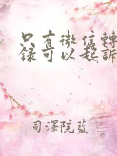 只有微信转账记录可以起诉对方