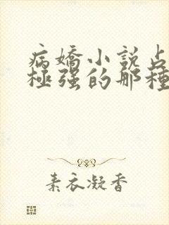 病娇小说占有欲极强的那种双男主