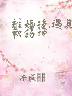 离婚后,遇见心软的神