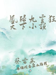 凤归九霄狂妃逆天下小说