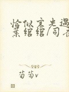 恰似寒光遇骄阳叶绾绾/司夜寒免费小说