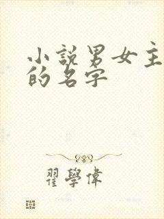 小说男女主好听的名字