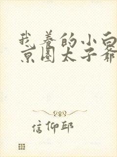 我养的小白脸是京圈太子爷短剧