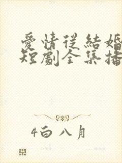 爱情从结婚开始短剧全集播放视频