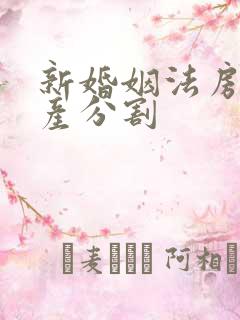 新婚姻法房子财产分割