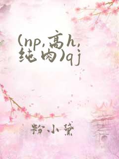(np,高h,纯肉)qj