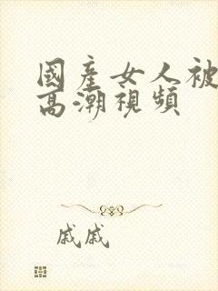 国产女人被插入高潮视频