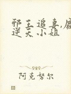 邪王追妻,废材逆天小姐