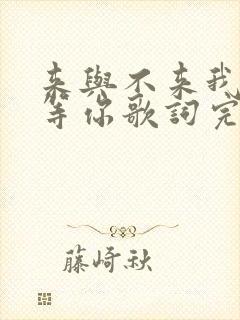 来与不来我都在等你歌词完整版