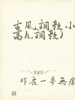 古风调教小说(高h,调教)