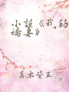 小说《我的极品娇妻》